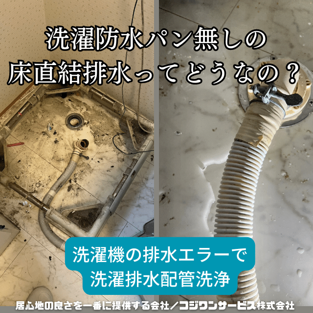 ドラム式洗濯機（排水ホース無し） ドラム式洗濯機排水ホースを外さず掃除する方法と安全な手順・失敗回避